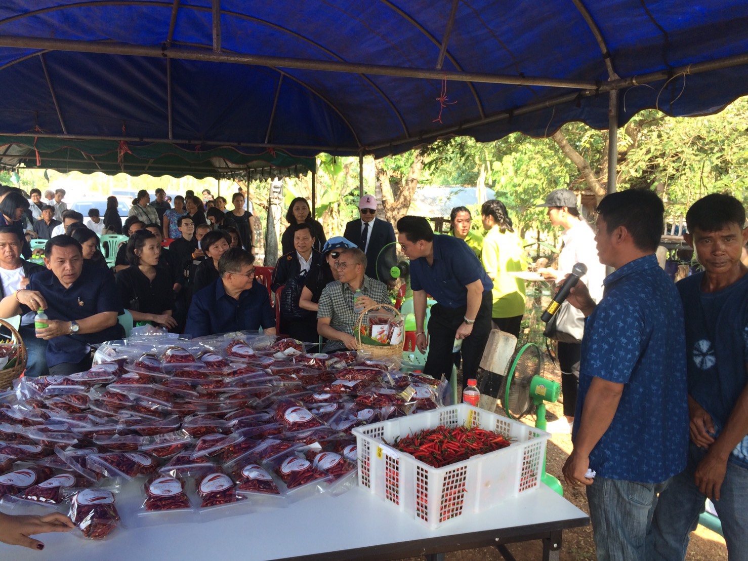 คณะทำงานขับเคลื่อนการพัฒนาเศรษฐกิจฐานรากและประชารัฐลงพื้นที่ตรวจเยี่ยม และติดตามผลการดำเนินงานการพัฒนาเศรษฐกิจฐานรากและประชารัฐ จังหวัดอุดรธานี และสกลนคร