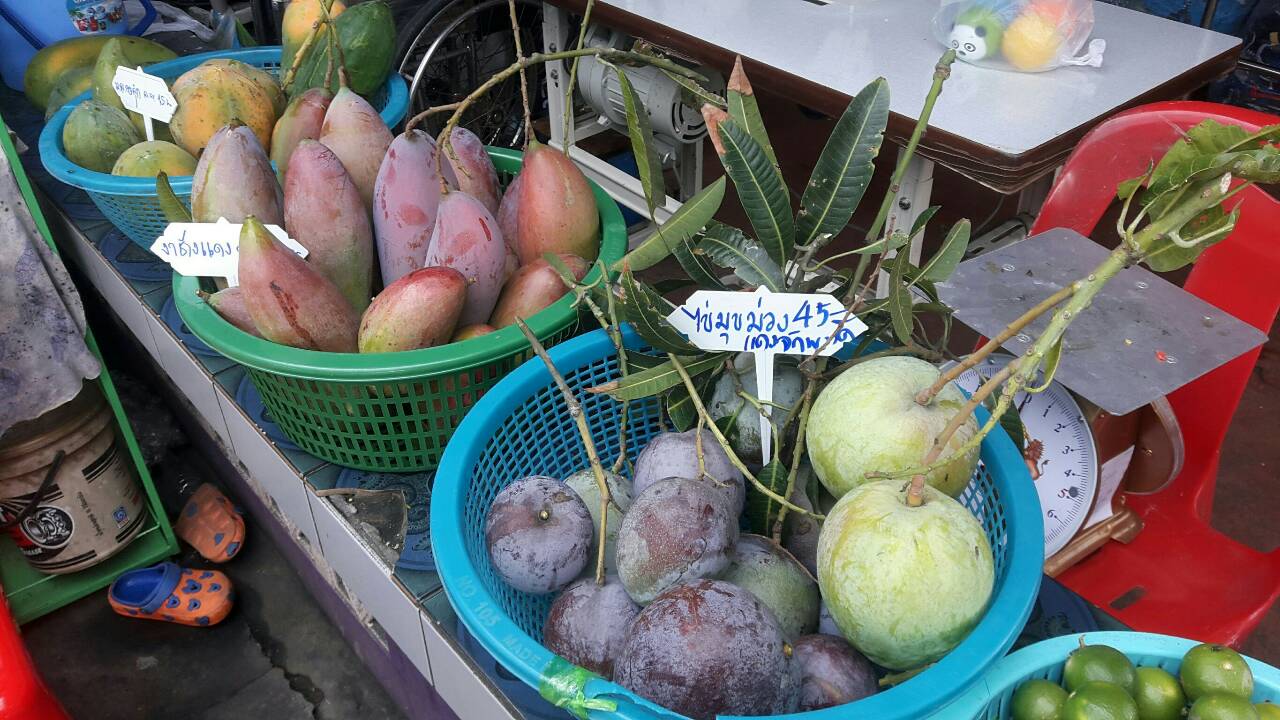 นางวรรณา ลิ่มพานิชย์ ผอ.กลุ่มงานส่งเสริมสัมมาชีพชุมชนลงพื้นที่เก็บข้อมูลกับมูลนิธิสัมมาชีพ