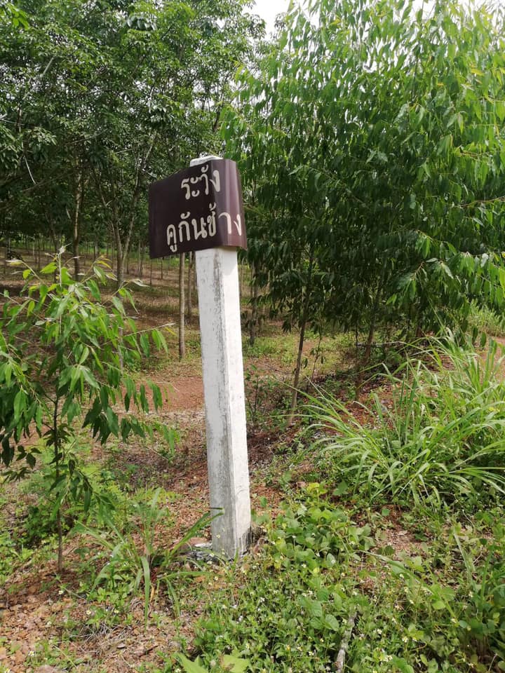 หมู่บ้านคชานุรักษ์สระแก้ว เดินหน้า​ พัฒนาอาชีพ​ เสริมสร้างการอยู่ร่วมกันอย่างสมดุลระหว่างคนและช้าง