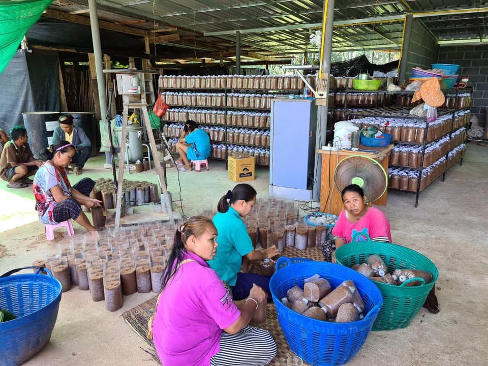 หมู่บ้านคชานุรักษ์สระแก้ว เดินหน้า​ พัฒนาอาชีพ​ เสริมสร้างการอยู่ร่วมกันอย่างสมดุลระหว่างคนและช้าง