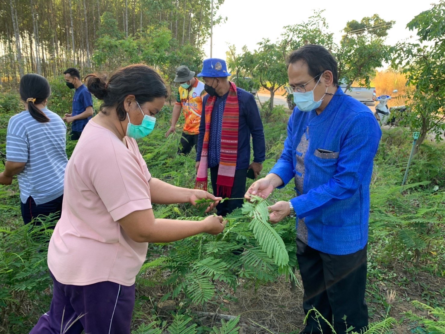 ???กรมการพัฒนาชุมชนเดินหน้าการพัฒนาชุมชนในพื้นที่หมู่บ้านที่ได้รับผลกระทบจากช้างป่า???