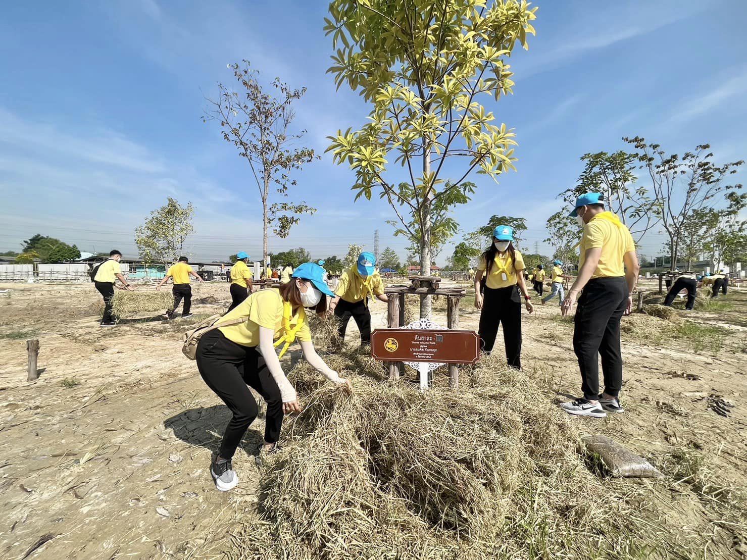 ผู้อำนวยการสำนักเสริมสร้างความเข้มแข็งชุมชน นำทีมเจ้าหน้าที่สำนักฯ ร่วมโครงการ