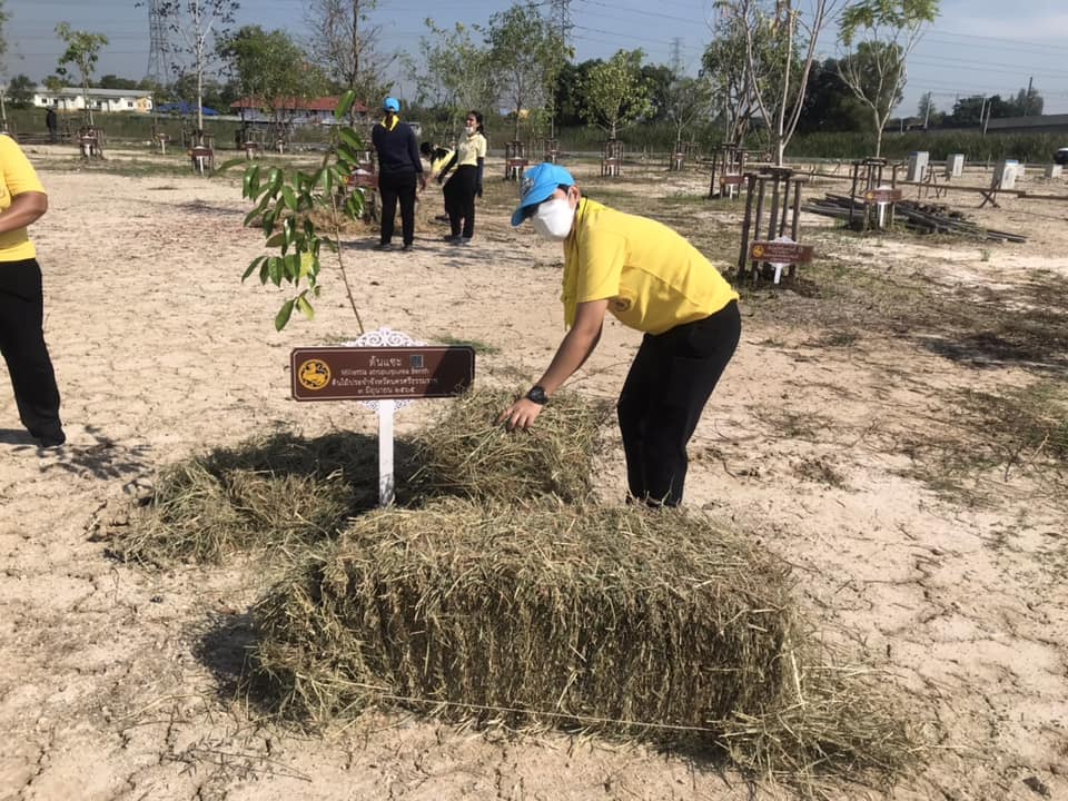 ผู้อำนวยการสำนักเสริมสร้างความเข้มแข็งชุมชน นำทีมเจ้าหน้าที่สำนักฯ ร่วมโครงการ
