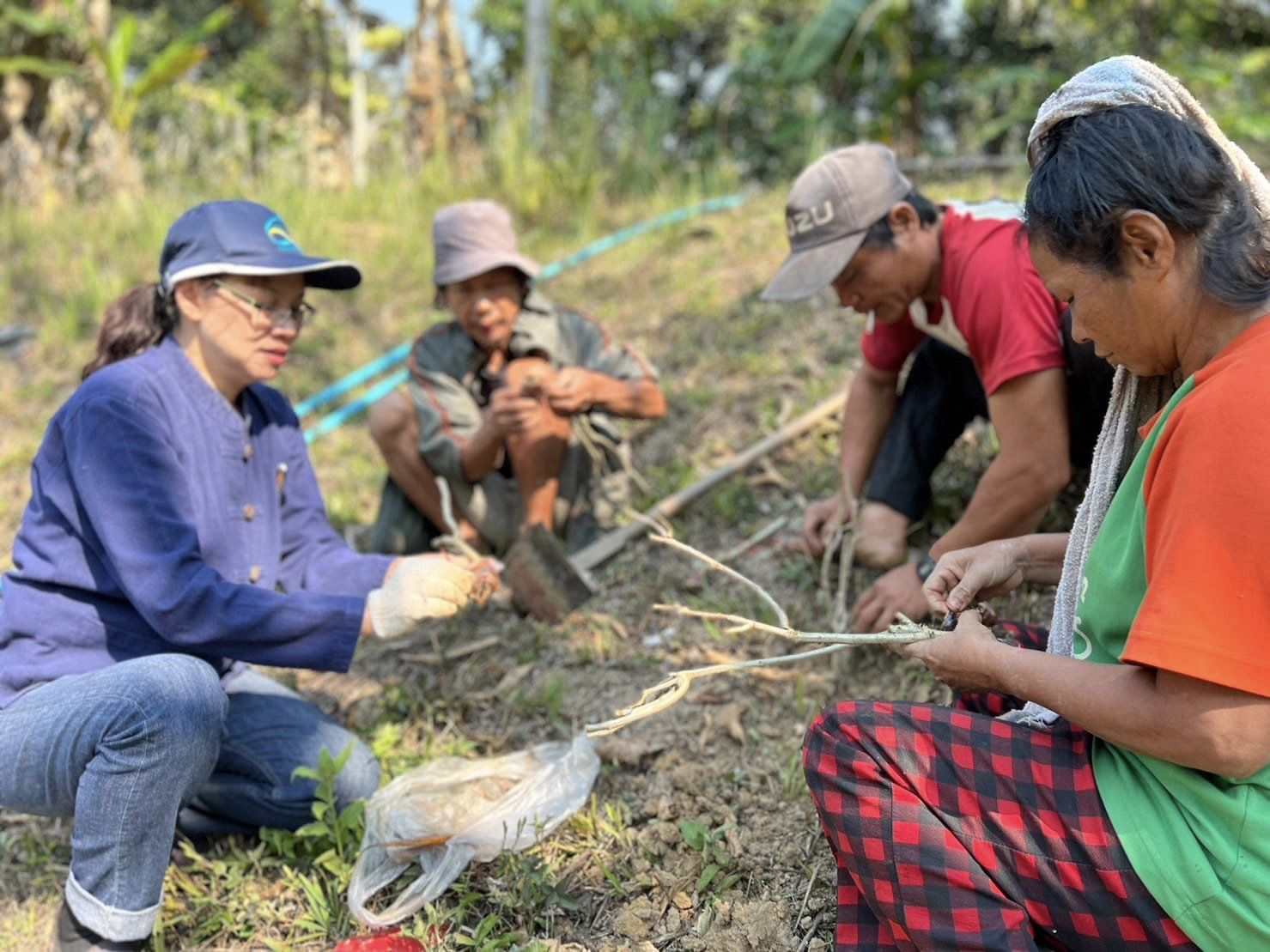โครงการนำร่องการส่งเสริมและพัฒนาอาชีพตามแนวทางหลักปรัชญาของเศรษฐกิจพอเพียง บ้านไล่โว่ – สาละวะ กาญจนบุรี