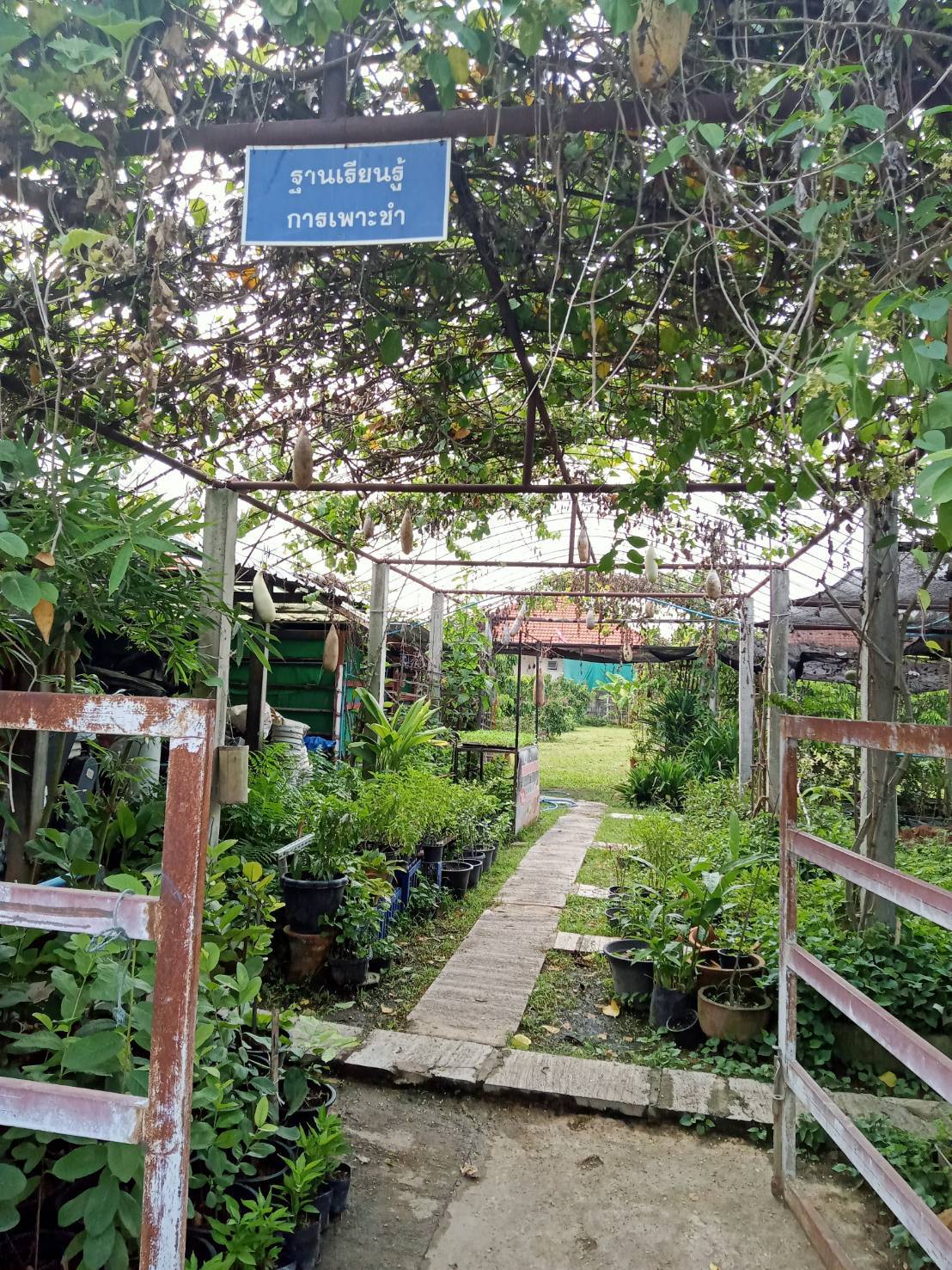 เยี่ยมชมศูนย์เรียนรู้โคก หนอง นา ป่าไผ่โมเดล จังหวัดเชียงใหม่