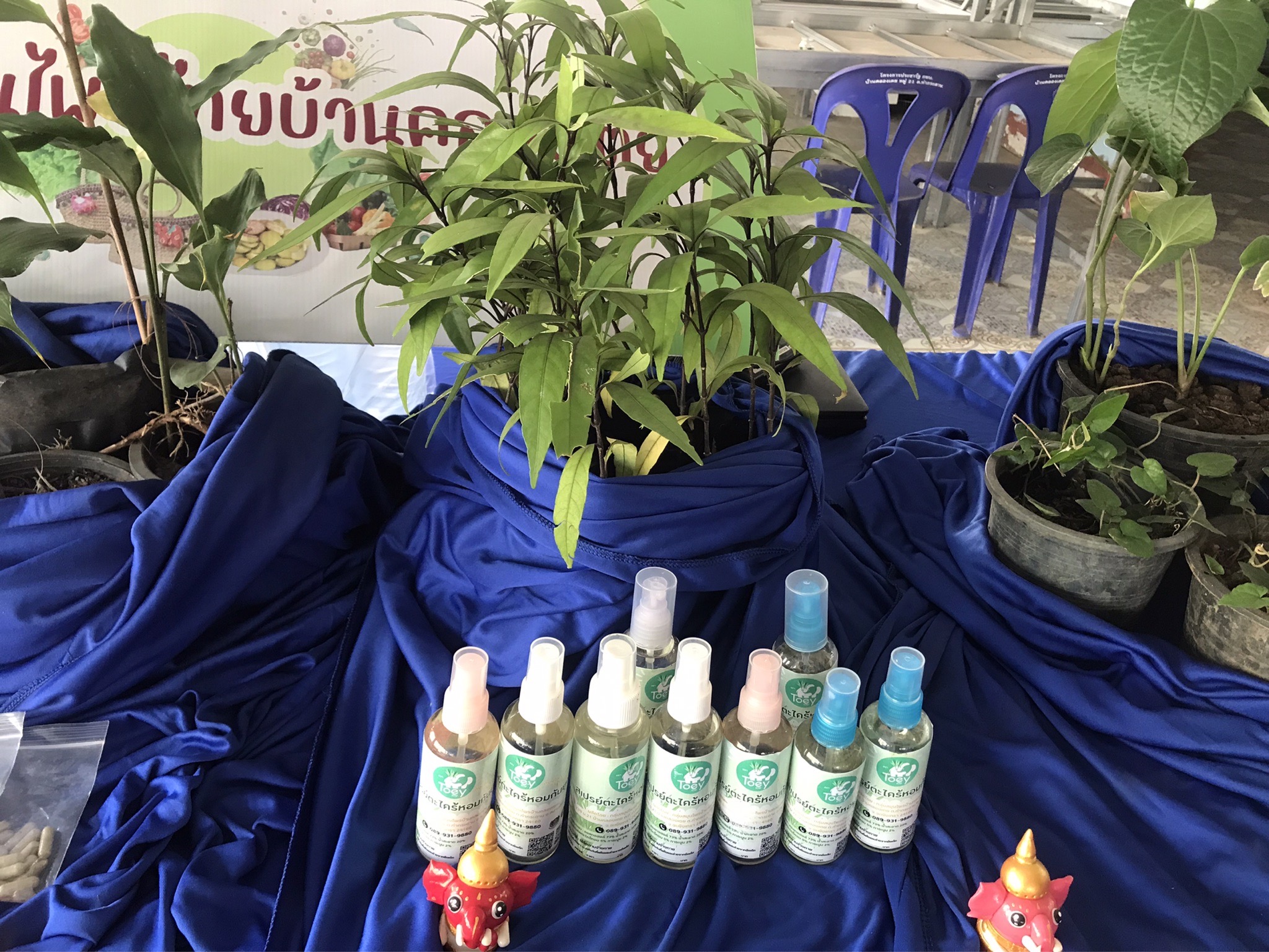โครงการพัชรสุธาคชานุรักษ์ กิจกรรมสนับสนุนการพัฒนาหมู่บ้านคนรักษ์ช้าง จังหวัดฉะเชิงเทรา