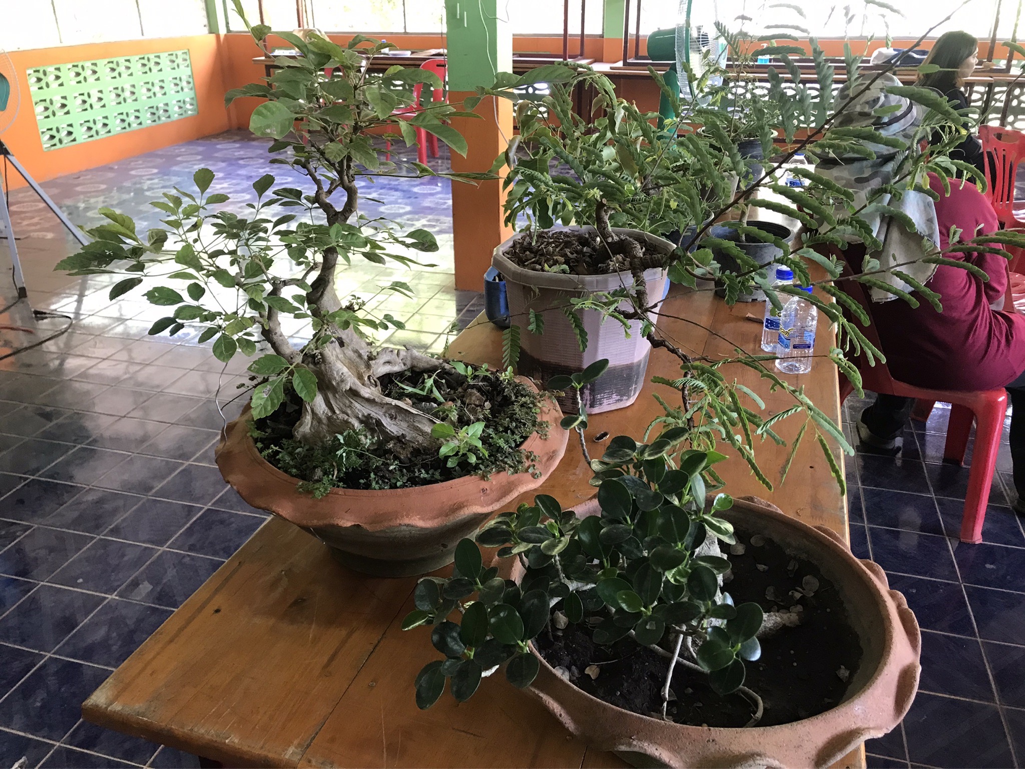 โครงการพัชรสุธาคชานุรักษ์ กิจกรรมสนับสนุนการพัฒนาหมู่บ้านคนรักษ์ช้าง จังหวัดฉะเชิงเทรา
