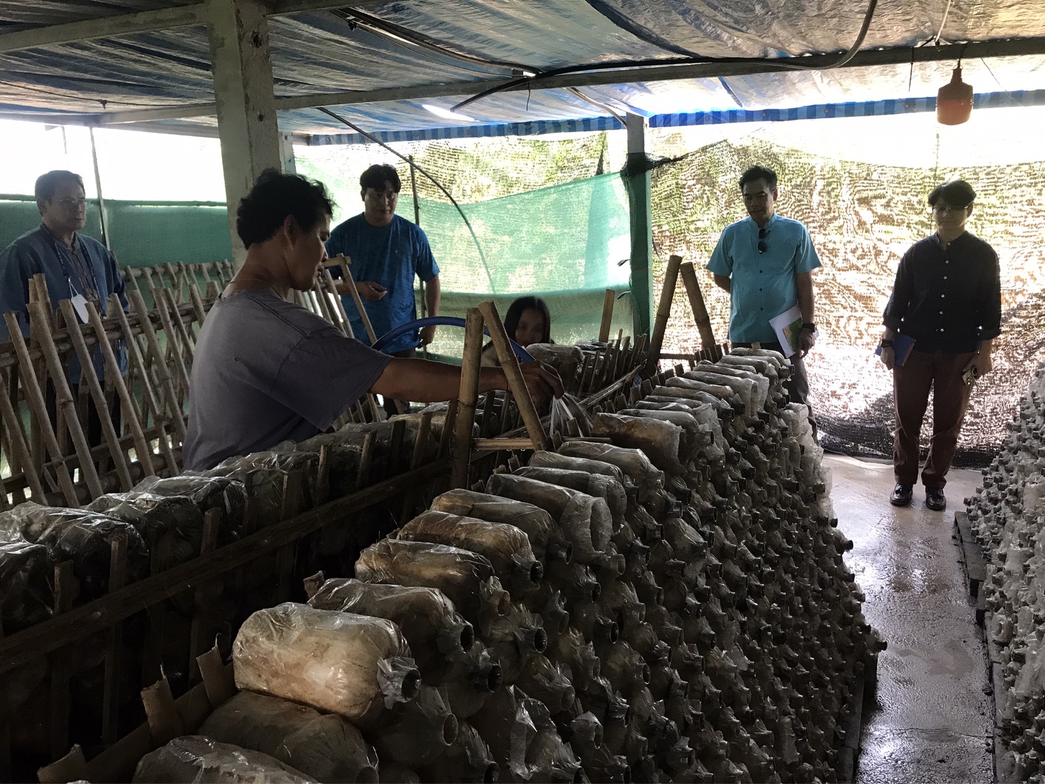 โครงการพัชรสุธาคชานุรักษ์ กิจกรรมสนับสนุนการพัฒนาหมู่บ้านคนรักษ์ช้าง จังหวัดฉะเชิงเทรา