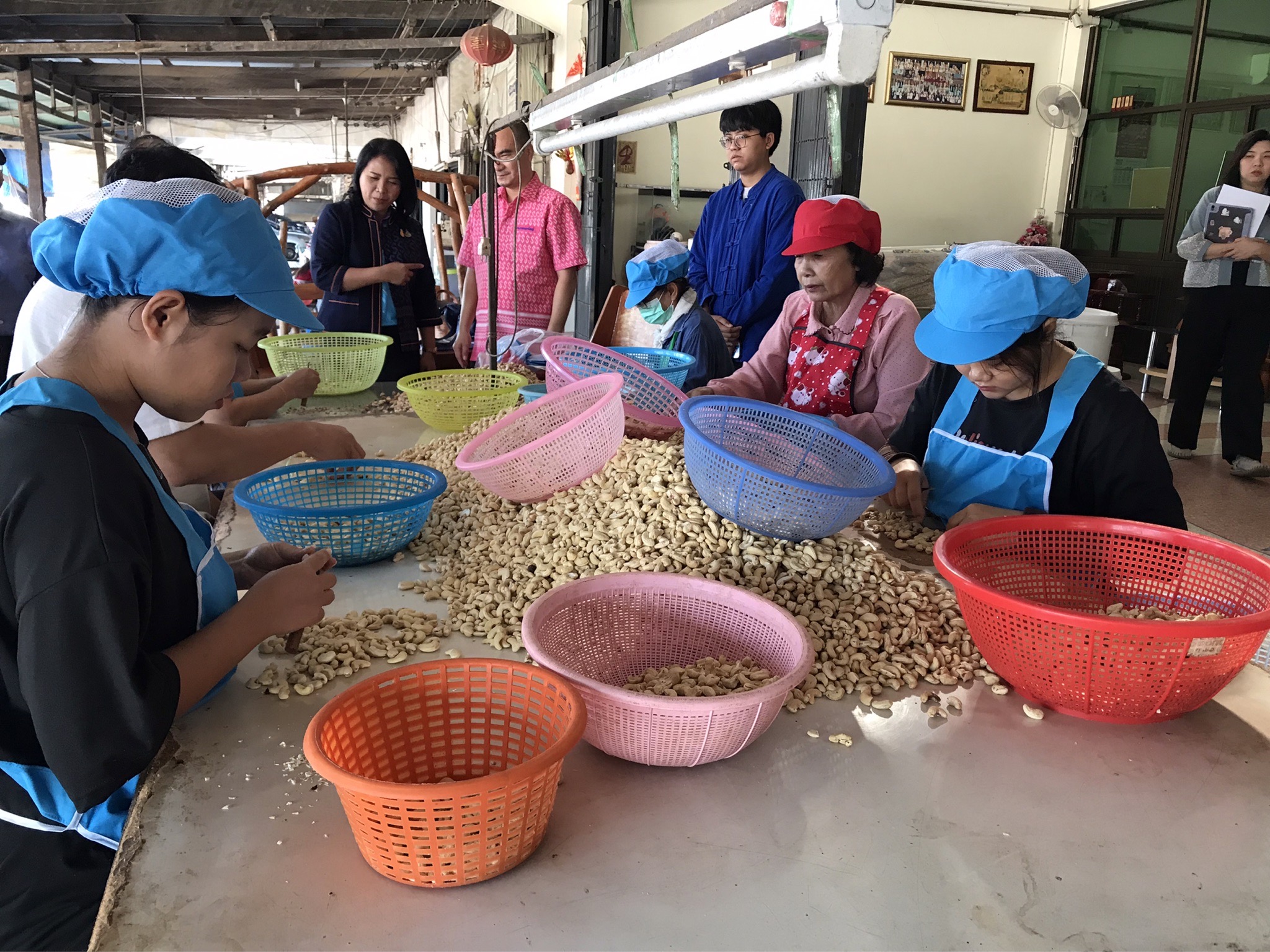 โครงการพัชรสุธาคชานุรักษ์ กิจกรรมสนับสนุนการพัฒนาหมู่บ้านคนรักษ์ช้าง จังหวัดชลบุรี
