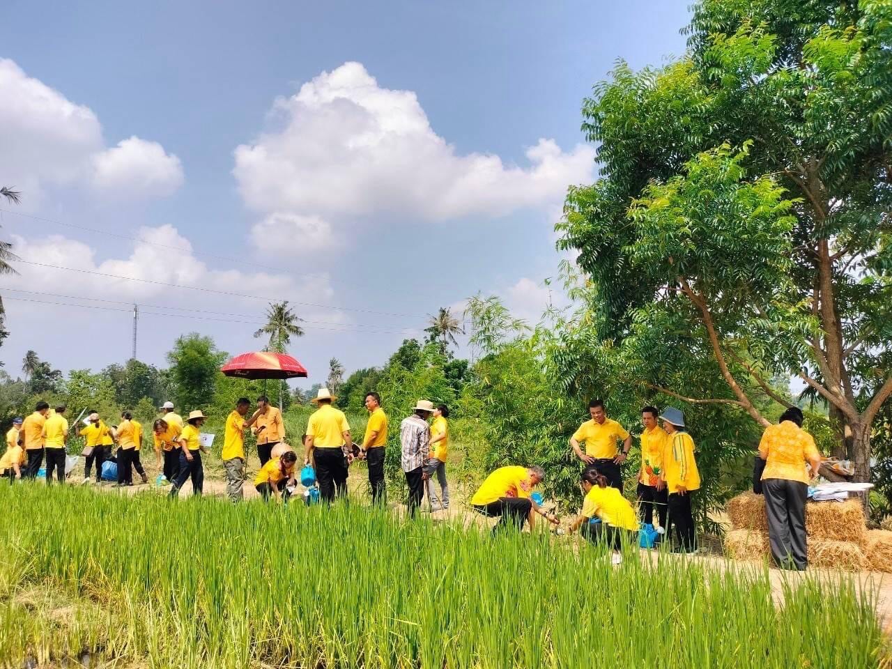 พช.ชลบุรี จัดกิจกรรม “เอามื้อสามัคคี ทำความดีถวายเป็นพระราชกุศล” เนื่องในโอกาสวันฉัตรมงคล วันที่ 4 พฤษภาคม 2567