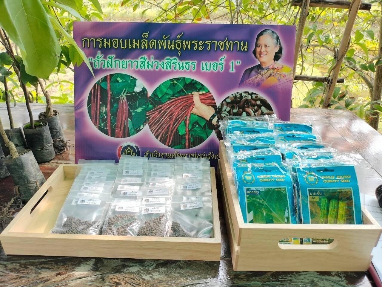 พช.ชลบุรี จัดกิจกรรม “เอามื้อสามัคคี ทำความดีถวายเป็นพระราชกุศล” เนื่องในโอกาสวันฉัตรมงคล วันที่ 4 พฤษภาคม 2567