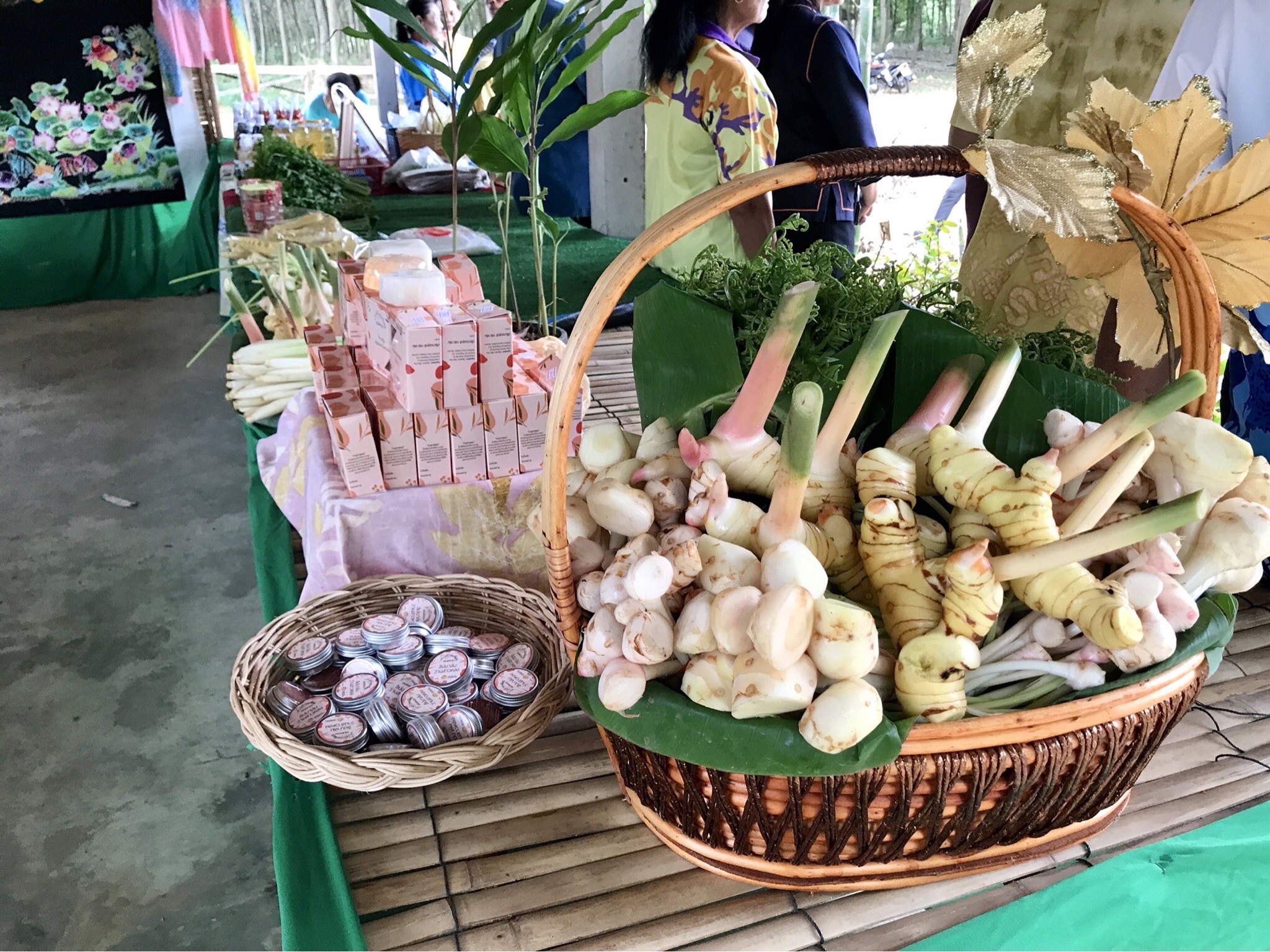 ปลัดมหาดไทย ลงพื้นที่ตรวจติดตามการขับเคลื่อนหมู่บ้านคชานุรักษ์ บ้านเขาใหญ่