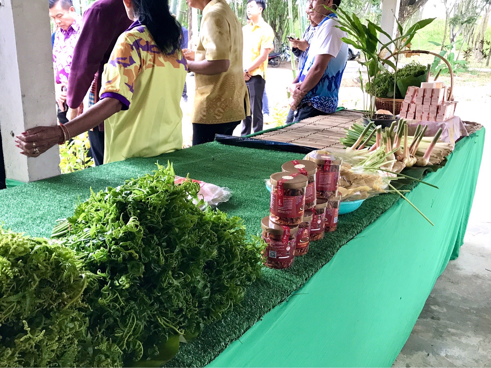 ปลัดมหาดไทย ลงพื้นที่ตรวจติดตามการขับเคลื่อนหมู่บ้านคชานุรักษ์ บ้านเขาใหญ่