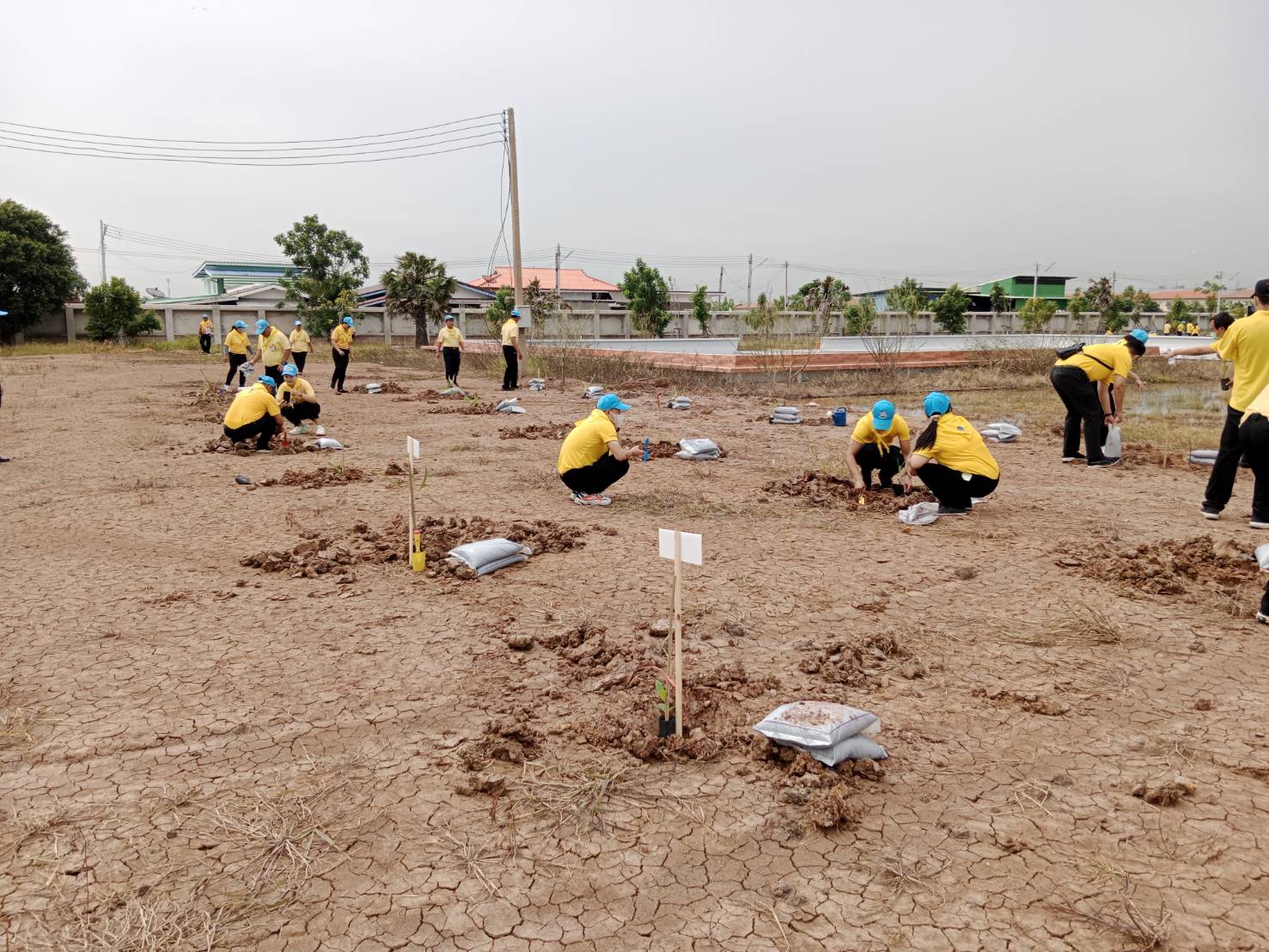 พช.ร่วมกิจกรรม “รวมพลังสร้างสัปปายะสู่วัดด้วยวิถี 5 ส” (Big Cleaning Day) เฉลิมพระเกียรติ พระบาทสมเด็จพระเจ้าอยู่หัว