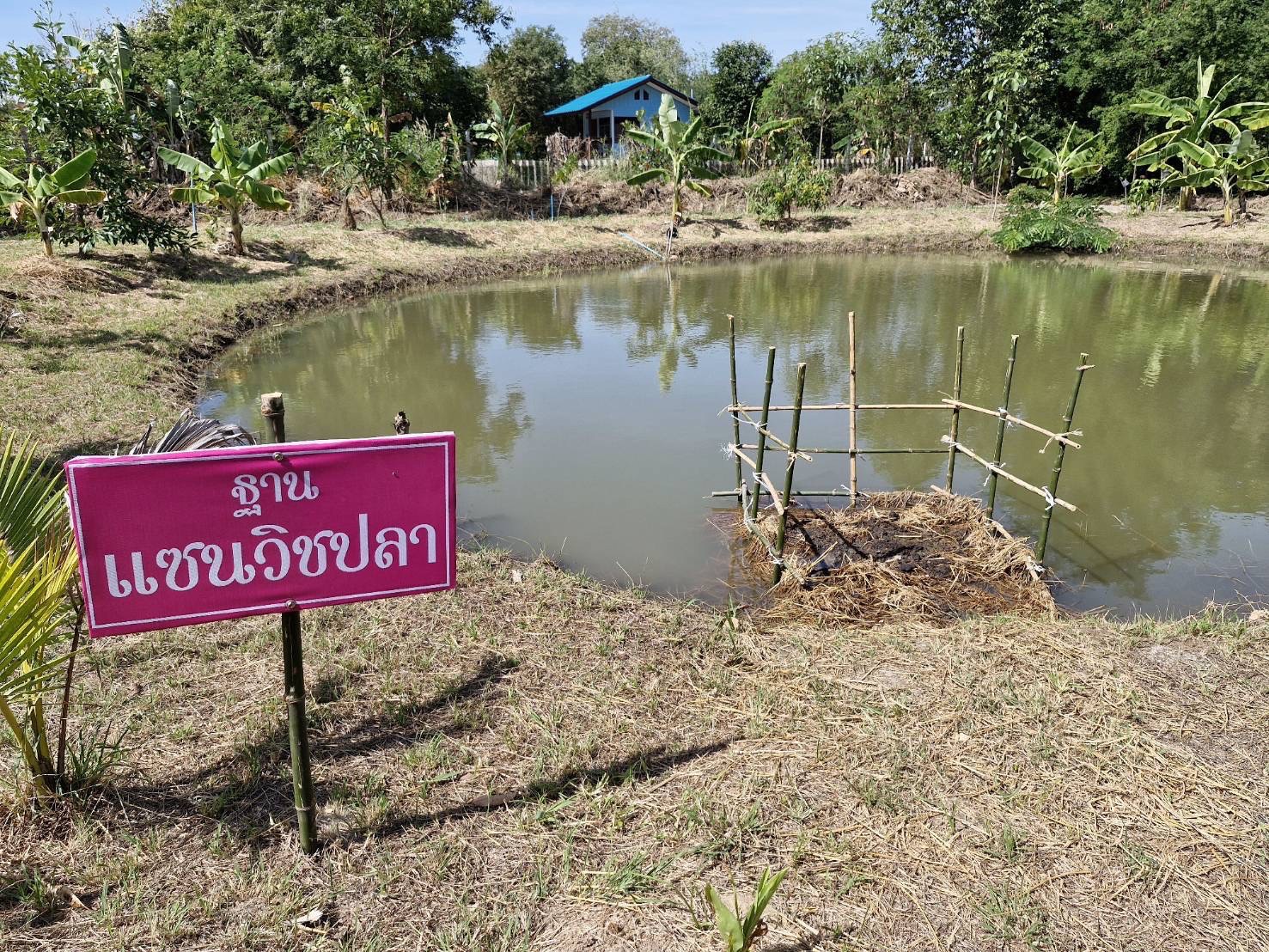 🌾 พช. ลงพื้นที่ตรวจสอบผลสัมฤทธิ์และประสิทธิภาพการดำเนินงานโครงการพัฒนาหมู่บ้านเศรษฐกิจพอเพียง 🌾
