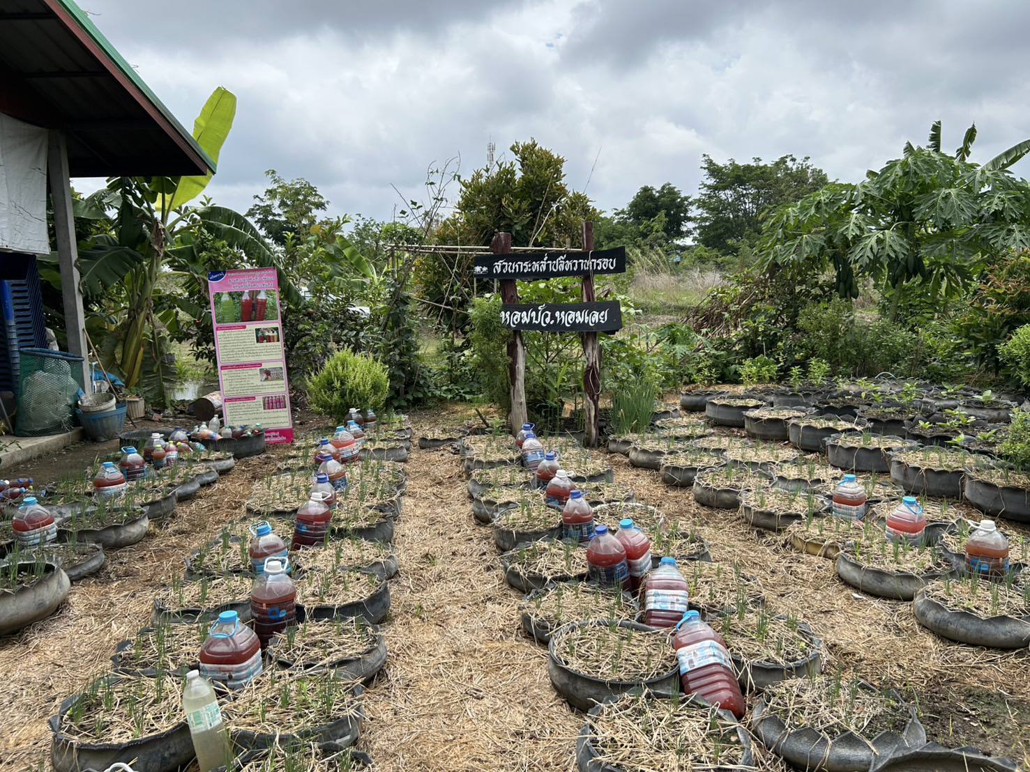 📢⭐ สำนักเสริมสร้างความเข้มแข็งชุมชน ลงพื้นที่สนับสนุนการพัฒนาศูนย์เรียนรู้การพัฒนาคุณภาพชีวิตตามหลักทฤษฎีใหม่ ประยุกต์สู่ “โคก หนอง นา”