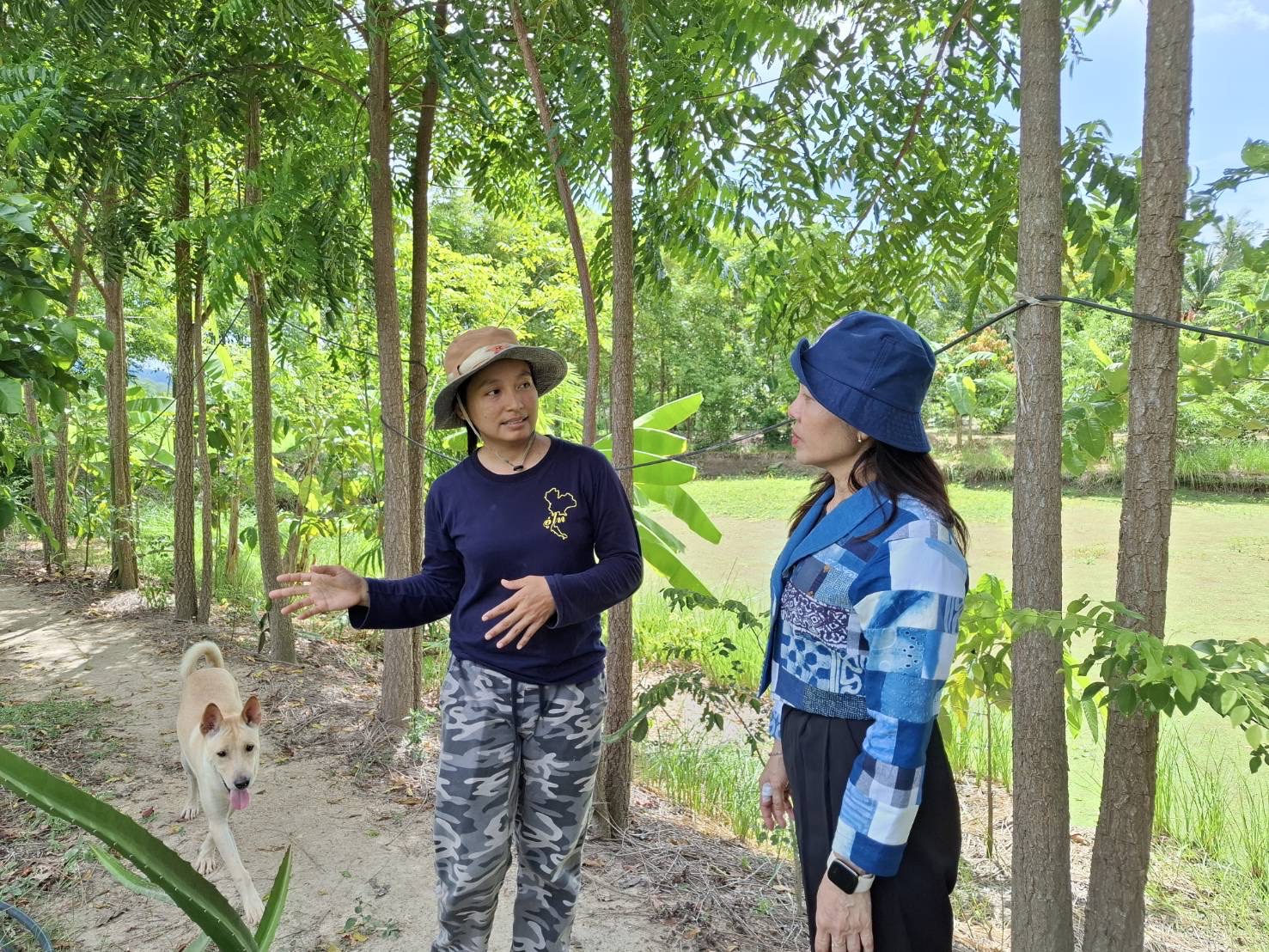 สำนักเสริมสร้าวงความเข้มแข็งชุมชน ลงพื้นที่สนับสนุนและติดตามการขับเคลื่อนการดำเนินงานผู้นำชุมชนและองค์กรชุมชน